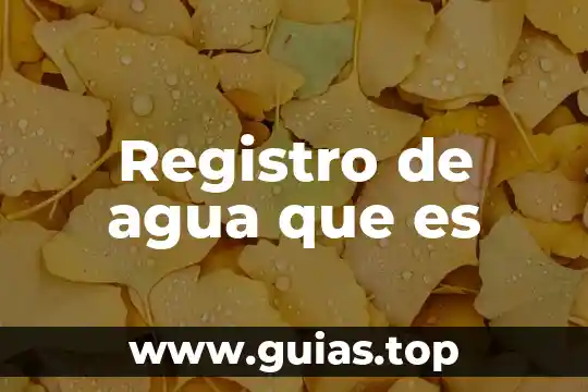 Registro de agua que es
