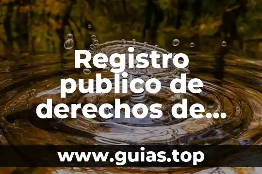 Porcentaje del cuerpo humano que es agua 7 Registro publico de derechos de agua que es