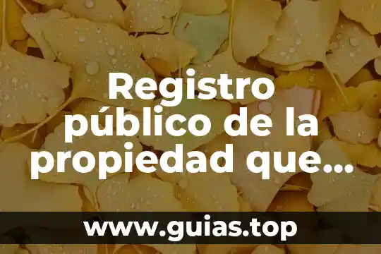 Que es ser una persona intolerante 5 Registro público de la propiedad que es persona moral