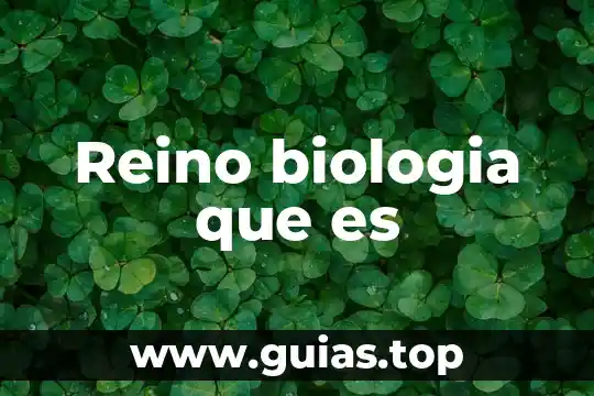 ¿Qué es mejor reino animal o africam safari? 4 Reino biologia que es