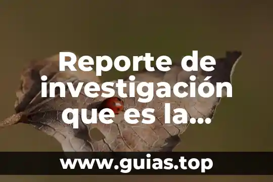 Que es mercadotecnia y sus tipos 8 Reporte de investigación que es la mercadotecnia