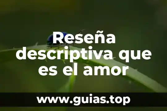 Que es un concepto de reseña 3 Reseña descriptiva que es el amor