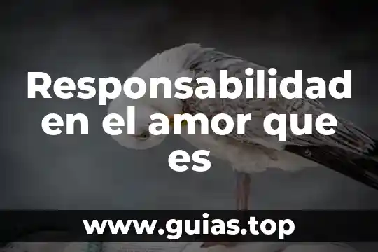 Que es el amor etimologia griego 7 Responsabilidad en el amor que es