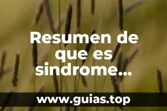Que es el resumen y sus reglas 3 Resumen de que es sindrome metabolico