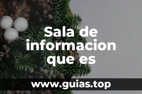 Que es gobierno de tecnologias de informacion 3 Sala de informacion que es