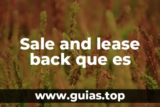 Que es una cosa amarilla que sale en los dientes 6 Sale and lease back que es