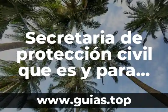 Qué es una declaratoria para la boda por el civil 5 Secretaria de protección civil que es y para que sirve