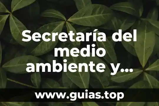 Que es una auditoria ambiental semarnat 4 Secretaría del medio ambiente y recursos naturales semarnat que es