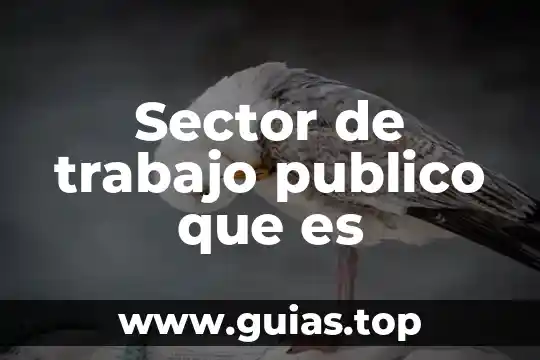 Que es el trabajo para el ser humano 5 Sector de trabajo publico que es