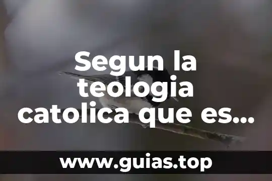 Qué es ser Papa de la Iglesia Católica 6 Segun la teologia catolica que es un elemento afectivo