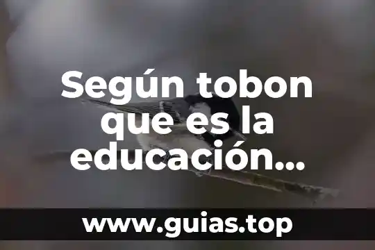 Que es pnce en educacion 3 Según tobon que es la educación tradicional