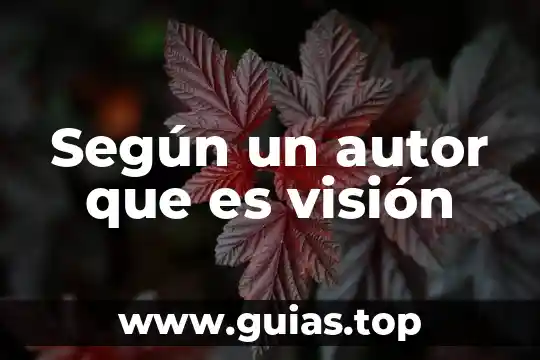 Botón de disparo con visión en directo que es 6 Según un autor que es visión