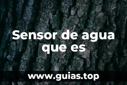 Que es el ciclo del agua biogeoquimico 4 Sensor de agua que es