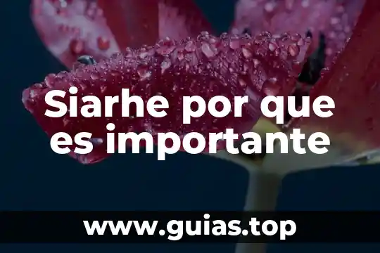Por que es importante atender la depresion post esquizofrenica 4 Siarhe por que es importante