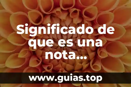 Terminal value que es 4 Significado de que es una nota informativa