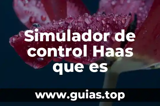 Que es lbs en kid control 8 Simulador de control Haas que es