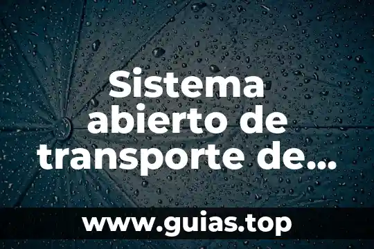 Que es el testamento abierto méxico 5 Sistema abierto de transporte de gas natural que es