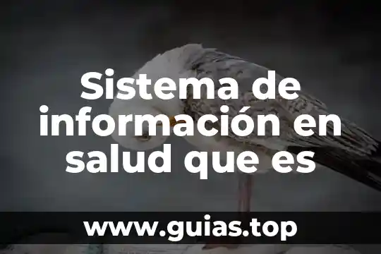 Que es un sistema nervioso muscular 3 Sistema de información en salud que es