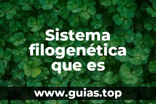 Que es un archivo revit 4 Sistema filogen茅tica que es