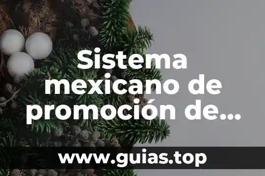 Por que es conveniente automatizar un procesos industriales 3 Sistema mexicano de promoción de parques industriales que es