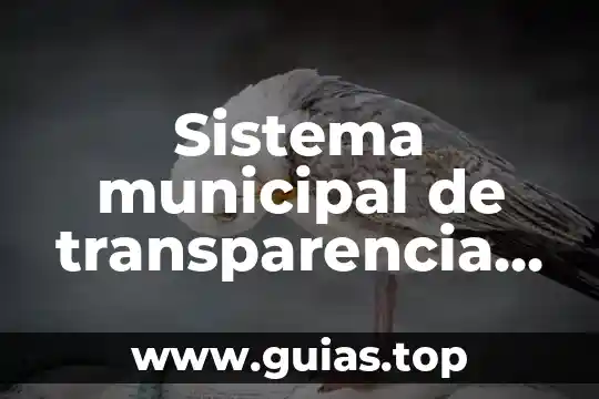 Definición de lo que es el sistema municipal 8 Sistema municipal de transparencia que es