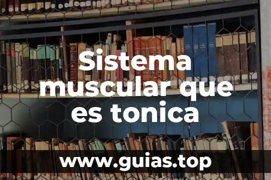 Agua mineral tónica que es 6 Sistema muscular que es tonica