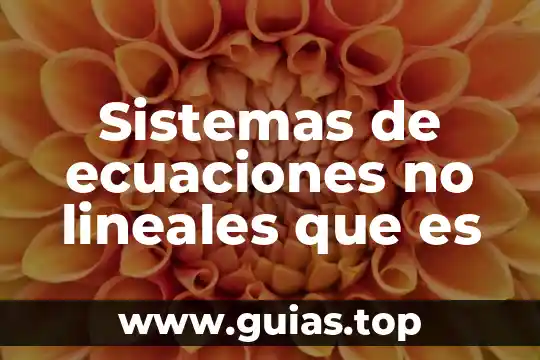¿Qué es representación gráfica de un sistema de ecuaciones? 6 Sistemas de ecuaciones no lineales que es