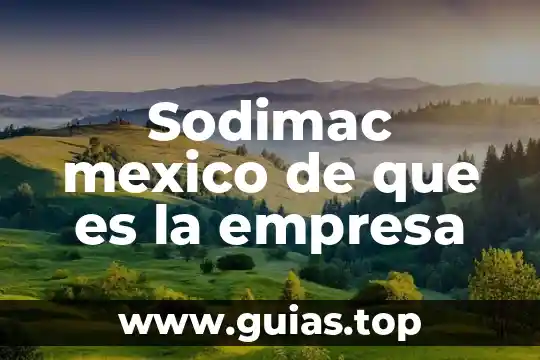 Que es una empresa de gestion de alojamiento 7 Sodimac mexico de que es la empresa