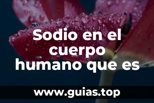 El agua es necesaria para el cuerpo humano 7 Sodio en el cuerpo humano que es