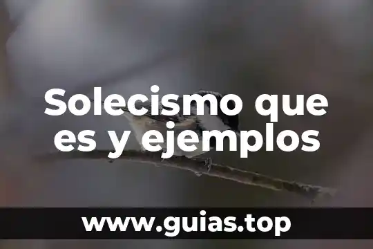 Que es velocidad y sus tipos ejemplos 3 Solecismo que es y ejemplos