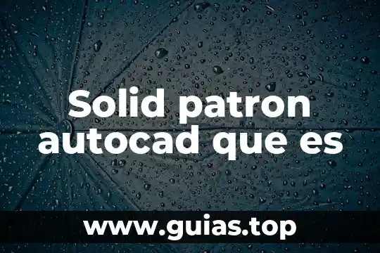 Que es un patron y trabajador en la ley 5 Solid patron autocad que es
