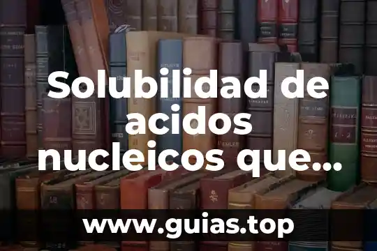 Qué es la función de los ácidos nucleicos 7 Solubilidad de acidos nucleicos que es