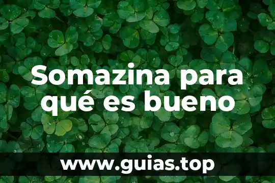 Qué es bueno para el vitiligo 3 Somazina para qué es bueno