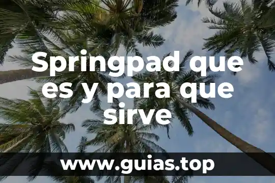 Análisis microeconómico que es y para que sirve 4 Springpad que es y para que sirve
