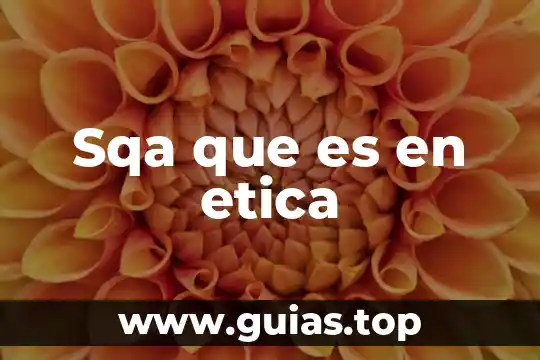 Que es le comite de etica edomex 6 Sqa que es en etica