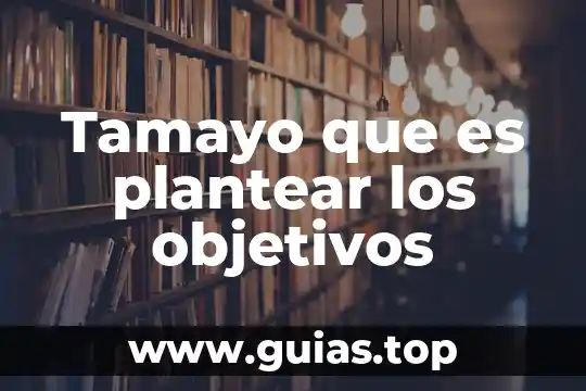 Que es tsp y objetivos 3 Tamayo que es plantear los objetivos