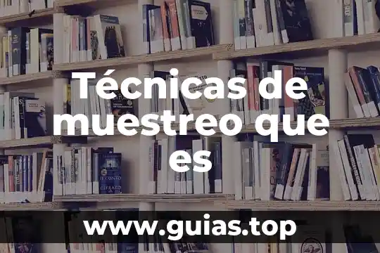 Que es un plan de muestreo concepto 8 Técnicas de muestreo que es