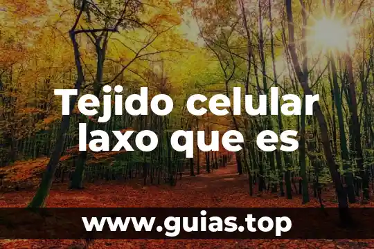 Que es un cultivo de tejido animal 3 Tejido celular laxo que es