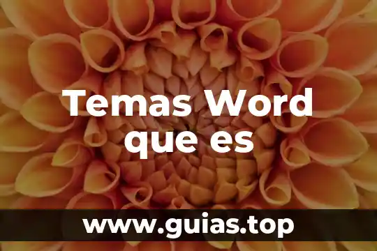 Que es color de linea en word 5 Temas Word que es