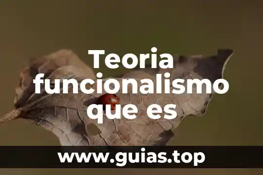 Qué es la teoría comprensiva la unidimensionalidad según marcuse 7 Teoria funcionalismo que es