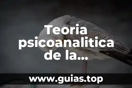 Qué es la teoría conductista 6 Teoria psicoanalitica de la personalidad que es