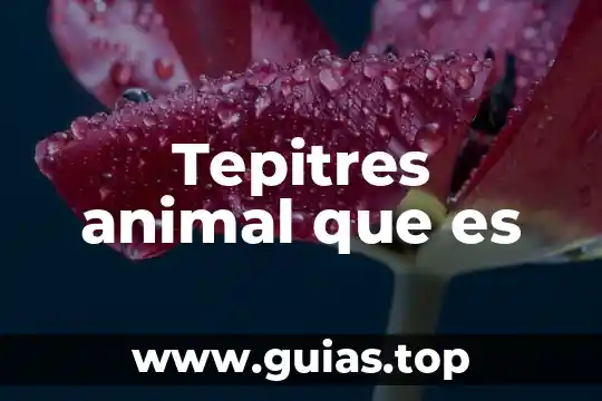 Que es animal zoofilia 8 Tepitres animal que es