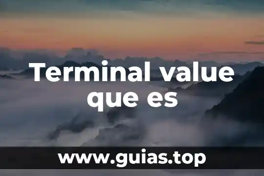 Rnh3 que es quimica 3 Terminal value que es
