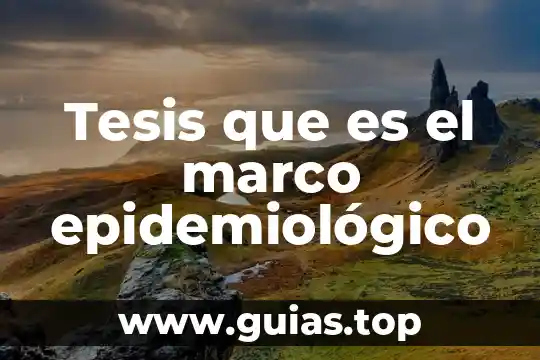 Marco lógico que es 6 Tesis que es el marco epidemiológico