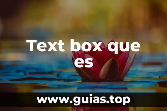 Que es text color 5 Text box que es