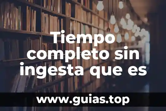 Que es tiempo de amortizacion 8 Tiempo completo sin ingesta que es