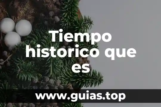 Que es la respiracion concepto historico 8 Tiempo historico que es
