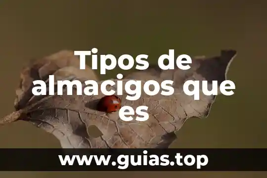 Que es el salto y sus tipos 6 Tipos de almacigos que es