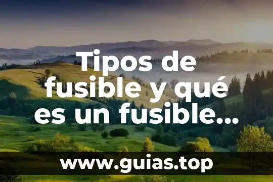 Que es la resporaciom y sus tipos 8 Tipos de fusible y qué es un fusible automotriz