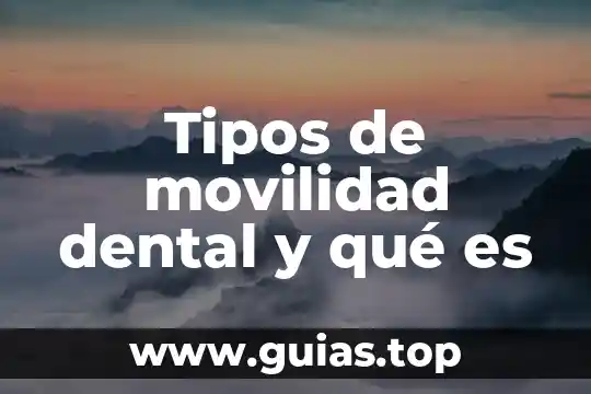 Que es un programas de movilidad académica 3 Tipos de movilidad dental y qué es